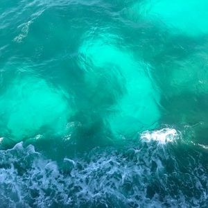 Meet your Posher, Fabiola